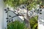 38 View Road, Ostend, Waiheke Island - Carousel 11