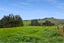192 Cameron Town Road, Pukekohe, Pukekohe - Carousel 18