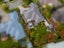 263 Southfield Drive, Lincoln, Lincoln - Carousel 24
