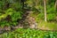 99D Carter Road, Oratia, Auckland - Carousel 26