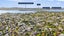 56 Taylor Road, Mangere Bridge, Auckland - Carousel 20