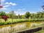 12 Swamp Road, Cust, Cust - Carousel 20
