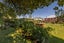 36 Olliviers Road, Phillipstown, Christchurch - Carousel 19
