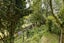 53 Titania Street, Stratford - Carousel 15