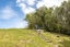 3 View Road, Ostend, Waiheke Island - Carousel 19