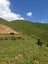 1437 Marokopa Road, MAROKOPA, PIOPIO - Carousel 13