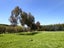 87 York Road, Longlands, Hastings - Carousel 22