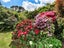 449 Poripori Road, Lower Kaimai, Tauranga - Carousel 47