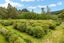 1229A Akatarawa Road, Akatarawa, Upper Hutt - Carousel 3