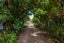 30 Natzka Road, Ostend, Waiheke Island - Carousel 19
