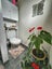 29/5 Carolina Place, Albany, Auckland - Carousel 10