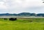 0 Hill Street, Tuai, Wairoa - Carousel 1