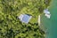 9A Tahuahua Bay, Blackwood Bay, Marlborough Sounds - Carousel 31