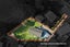 28 Kivell Close, Mangere East, Auckland - Carousel 24