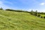 260C Staniforth Road, Kaiwaka - Carousel 6