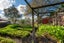 59 Greenhithe Road, Greenhithe, Auckland - Carousel 16