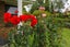 30A Kea Street, Piopio, Piopio - Carousel 29