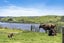 898 Churchill East Road, Rangiriri, Te Kauwhata - Carousel 22