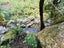 275 Lillis Lane, Coromandel, Coromandel - Carousel 37