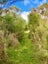 452 Moir Hill Road, Warkworth, Warkworth - Carousel 8