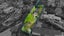13 Seymour Road, Mellons Bay, Manukau City, Auckland - Carousel 35