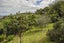 29 View Mount, Stoke, Nelson - Carousel 22