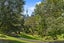 1 Melford Street, Saint Marys Bay, Auckland - Carousel 46