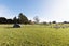62 Nga Tawa Road, Marton - Carousel 19
