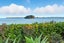 204b Beach Road, Katikati, Western Bay Of Plenty, Bay Of Plenty - Carousel 5