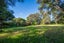 230 Nook Road, Parua Bay, Whangarei, Northland - Carousel 44