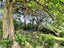 8344A State Highway 35, Whanarua Bay, Te Kaha - Carousel 40