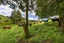 467A Te Mata Road, Raglan - Carousel 15