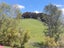54 Whakapirau Road, Maungaturoto, Maungaturoto - Carousel 28
