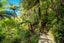 0 Blackwood Bay, Blackwood Bay, Marlborough Sounds - Carousel 25