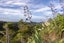 2722 South Head Road, Helensville - Carousel 11