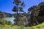 Lot 2,, 127 Rangitane Road, Kerikeri, Far North, Northland - Carousel 7