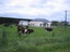 43 Newbury Line, Newbury, Palmerston North - Carousel 4