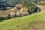 2377 Motueka Valley Highway, Woodstock, Motueka - Carousel 34