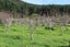 632A Sawyer Road, Mangonui, Mangonui - Carousel 7