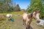 411 Pine Valley Road, Silverdale - Carousel 5