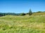 445 Lake Kaniere Road, BLUE SPUR, HOKITIKA - Carousel 15