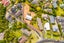 380 Glenfield Road, Glenfield, Auckland - Carousel 2