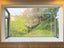 5 Charlotte Avenue, Brooklyn, Wellington - Carousel 5