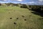 733 Marua Road, Hikurangi, Hikurangi - Carousel 31