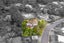 160 Seddon Street, Naenae, Lower Hutt - Carousel 38