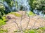0 Parapara Valley Rd, Parapara - Carousel 6