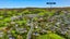 34 Muriwai Road, Waimauku, Waimauku - Carousel 28
