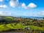 6/1090 Beach Road, Torbay, Auckland - Carousel 10