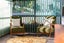 33 Kent Road, Saint Johns Hill, Whanganui, Manawatu / Whanganui - Carousel 7