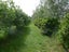 615 Pesters Road, West Eyreton, West Eyreton - Carousel 11